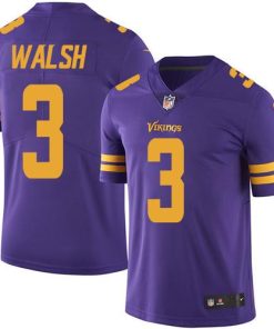 Premium Vikings #3 Blair Walsh Purple Men's Stitched NFL Limited Rush Jersey